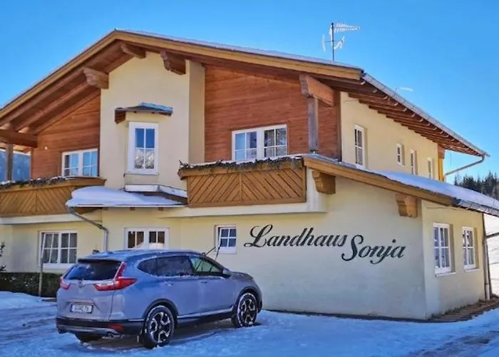 Sonja 1 Appartamento Leutasch